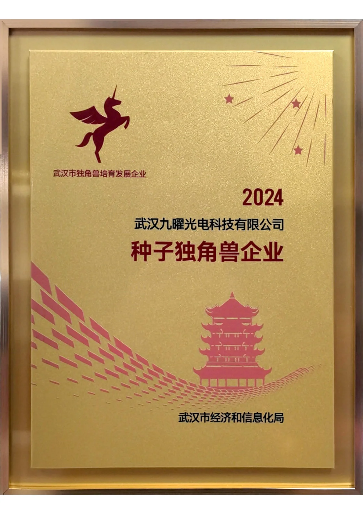 2024年种子独角兽企业