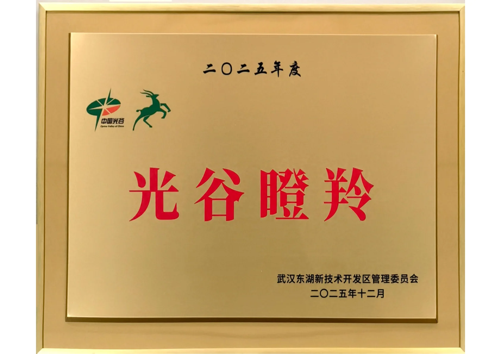 光谷瞪羚
