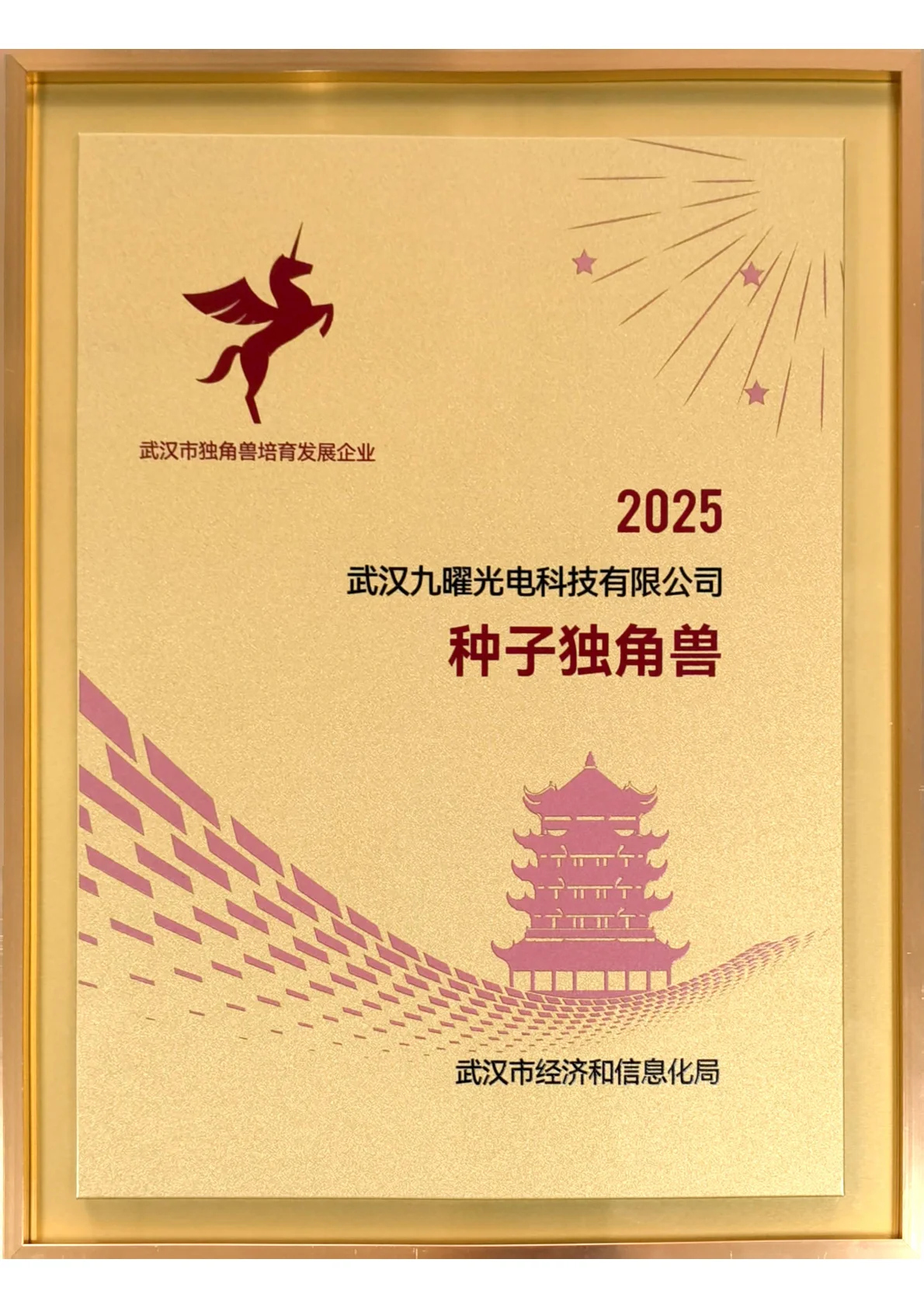 2025年种子独角兽企业